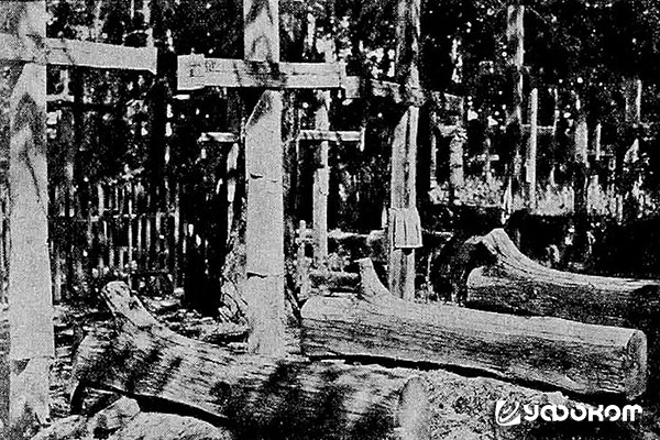 Рис. 14. Снимок неизвестного полесского кладбища довоенного периода. Рис. 14. Снимок неизвестного полесского кладбища довоенного периода.