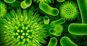 Микробы, гены и цивилизация – книга про противостояние человека и инфекций