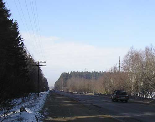 Некоторое понижение линии деревьев прослеживается почти точно (с небольшим смещением к лесу) напротив памятника через дорогу (фото В.Мизин, 2013).