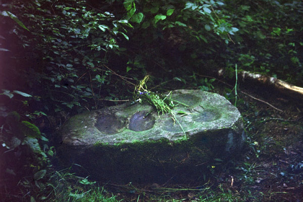 Кременецкий валун (Логойский р-н).