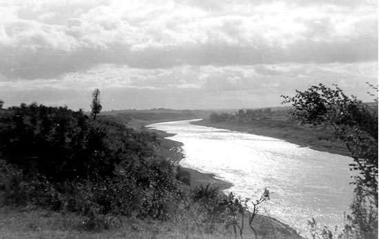 Днепр в районе урочища Дубки в начале 1970-х годов. На левом берегу видна последняя вековая липа.