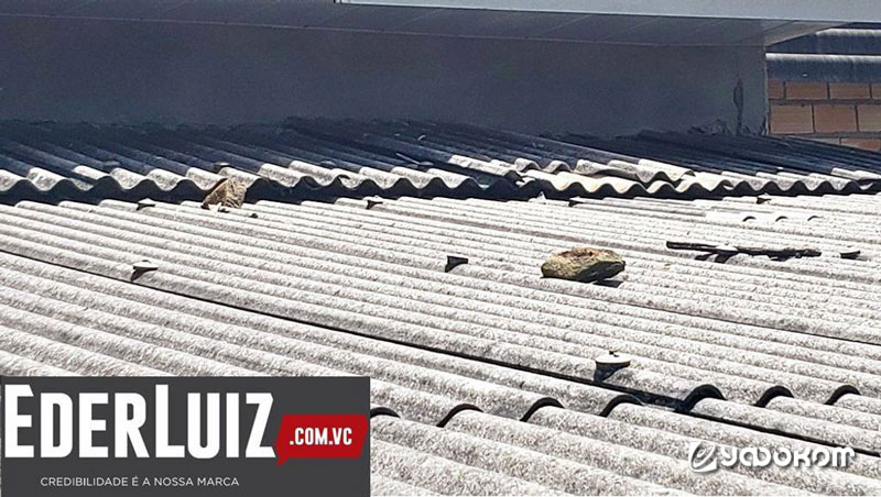 В декабре 2018 года некоторые СМИ сообщали, что камнеметательный полтергейст может быть активен в сельской местности на юге Бразилии. Жители четырех домов в Линья-Санта-Клара-Байша, штат Хоасаба, утверждали, их дома таинственным образом забрасывают камням