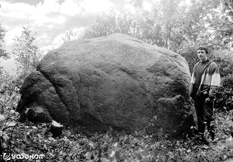 Вялики (Леший) Камень у д. Елешовка Чашникского р-на Витебской обл. Фото В. Ф. Винокурова.