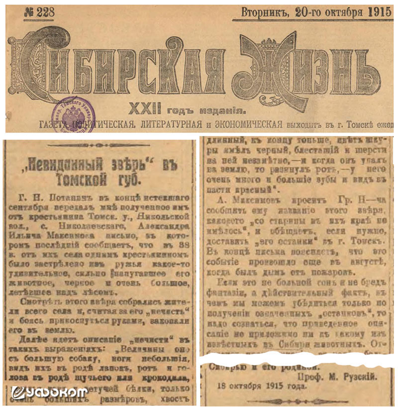 Статья проф. Рузского. «Сибирская жизнь», 20 октября 1915 г. Статья проф. Рузского. «Сибирская жизнь», 20 октября 1915 г.