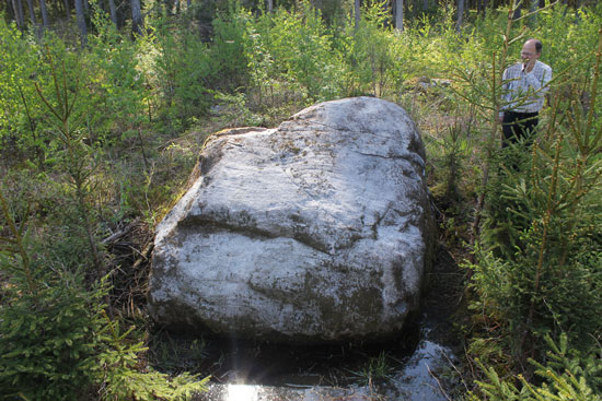 Фото 6. Большой камень в болоте Маджинас. Фото – А. Гринбергс.
