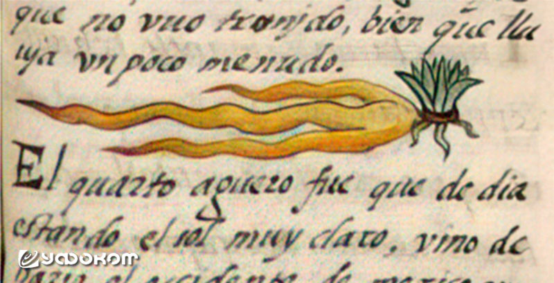 Зарисовка явления в рукописи Бернардино де Саагуна. 