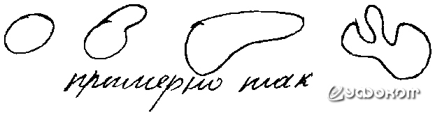 Зарисовка В. В. Камельчика. Зарисовка В. В. Камельчика.