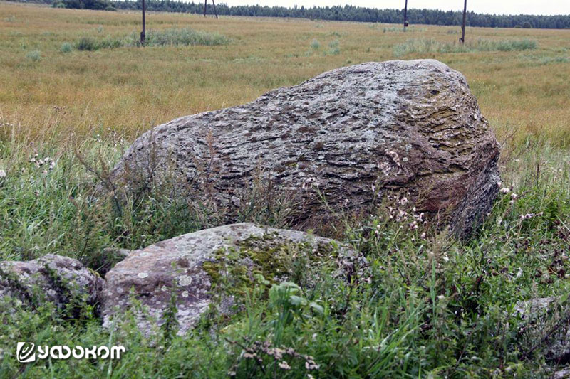 Фото 4. Заклятый Камень или Печ (д. Белевцы, Миорский р-н). Снимок И. Е. Климкович, 2016 год.