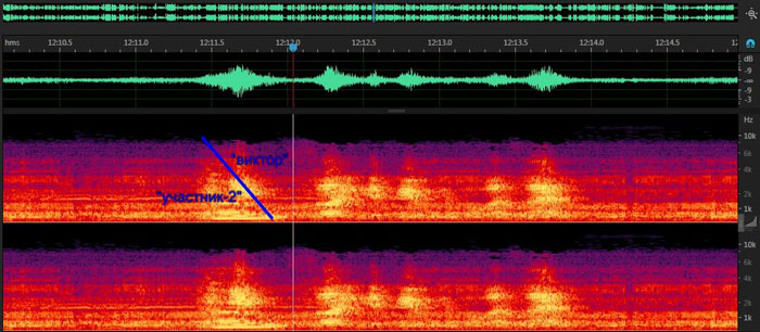 Наглядно видно, что голоса «участника-2» и «Виктора» – одной и той же природы. На спектрограмме, момент первой ошибки и переход из одного персонажа в другой.