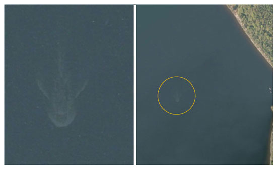 Несси обнаружили на спутниковых фотоснимках. Несси обнаружили на спутниковых фотоснимках.