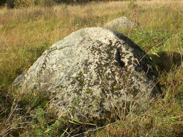 Рис. 27. Камень 12 (фото В. Акулов, 2012).