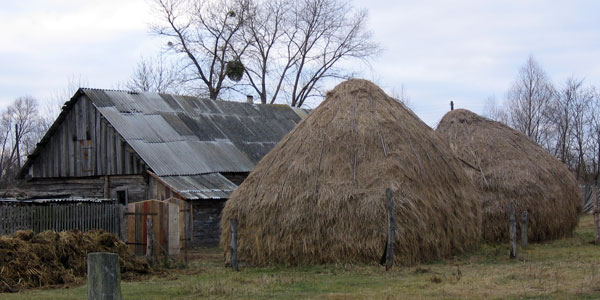 В полесской глубинке. Фото автора 2007 г.