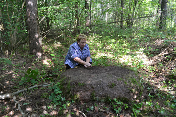 Пашевичский камень с ямками. Фото Э. Л. Шавелко (август 2016 года).