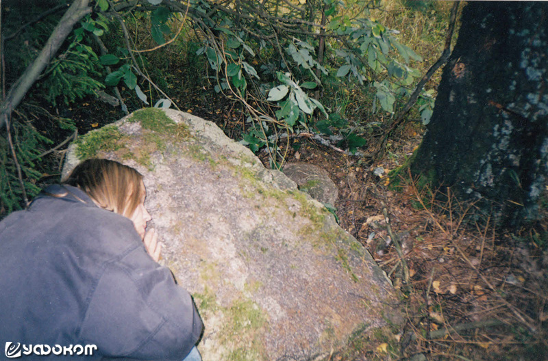 Камень у д. Бузуны Воложинского р-на Минской обл. Фото И. Климкович (2001 год).