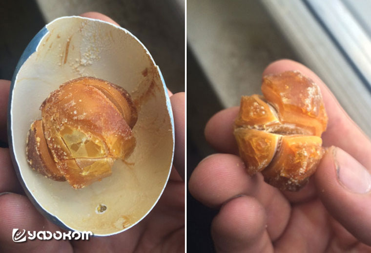 Содержимое пасхального яйца после 25 лет хранения в холодильнике. Фотографии окаменевшего желтка продемонстрировал подписчикам один из завсегдатаев развлекательного портала Pikabu.ru: «Бабушка хранила это пасхальное яйцо, которое я сделал для нее в восемь