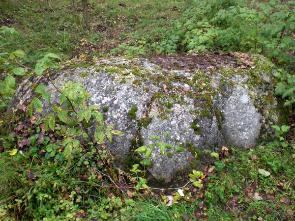 Рис. 23. Камень 9 (вид с востока, фото В. Акулов, 2012).