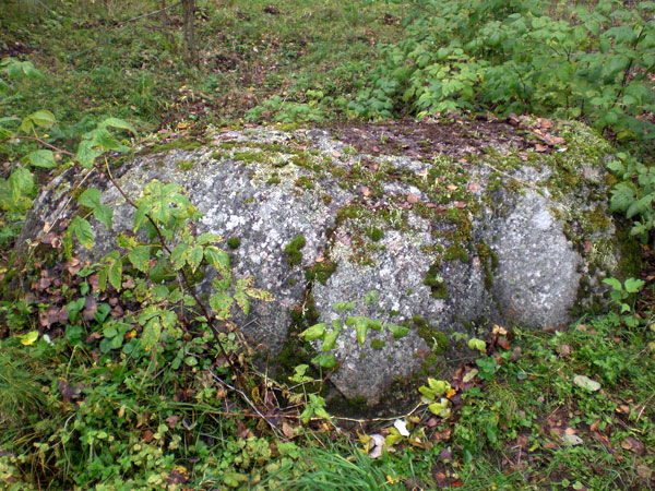 Рис. 23. Камень 9 (вид с востока, фото В. Акулов, 2012). Рис. 23. Камень 9 (вид с востока, фото В. Акулов, 2012).