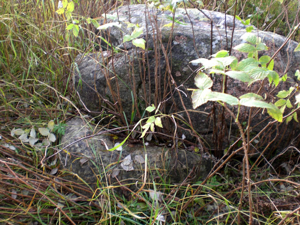 Рис. 15. Камень с меньшим камнем у основания. Находится ближе к озеру (фото В. Акулов, 2012).
