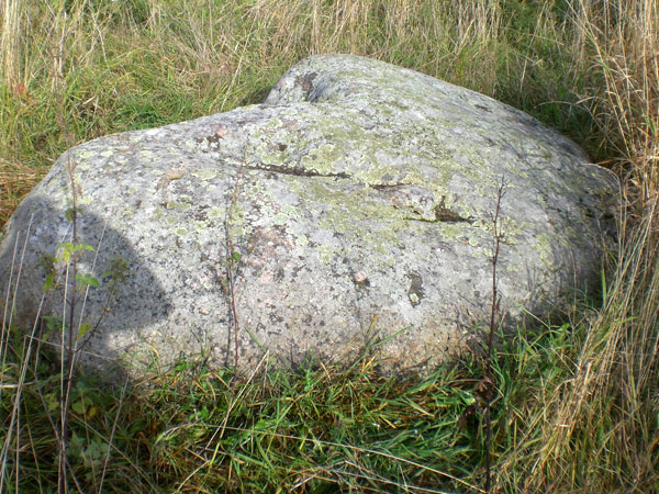 Рис. 19. Камень 8 (вид с востока, фото В. Акулов, 2012).