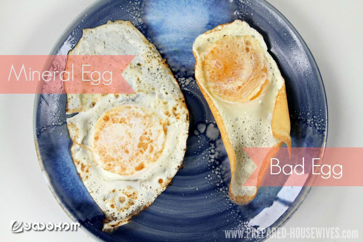 Пролежавшие год в холодильнике яйца готовы к дегустации: слева яйцо, скорлупа которого была покрыта минеральным маслом, а справа – из контрольной коробки.