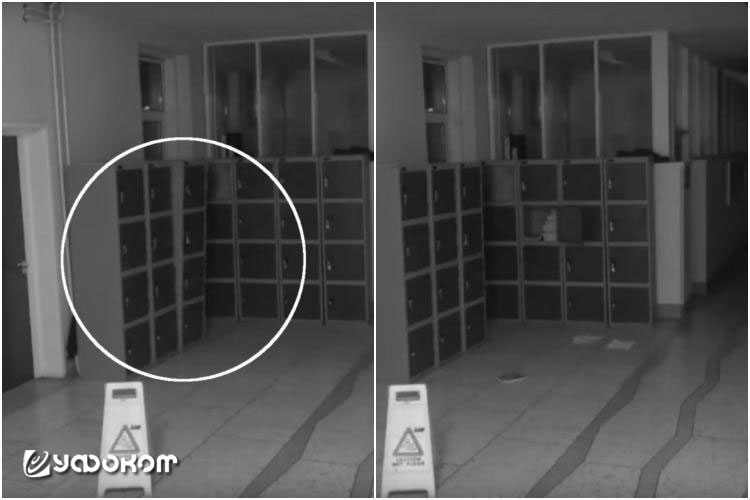 Рис. 1.1. Момент сотрясения шкафчика (снимок слева); самопроизвольное открытие шкафчиков момент спустя (снимок справа) (школа Дирпарк, г. Корк, Ирландия). 