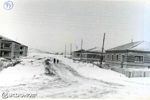 Фото 14. Вид улицы, где стоят дома, подвергшиеся действию феномена. Стрелкой отмечен дом, где живёт свидетельница Пахомова, справа виден двухквартирный дом. (Фото Макарова В.Н.).