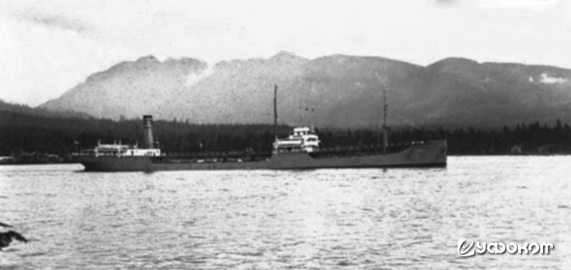 Рис. 8. Танкер "Baldhill" – систершип танкера "Watertown".