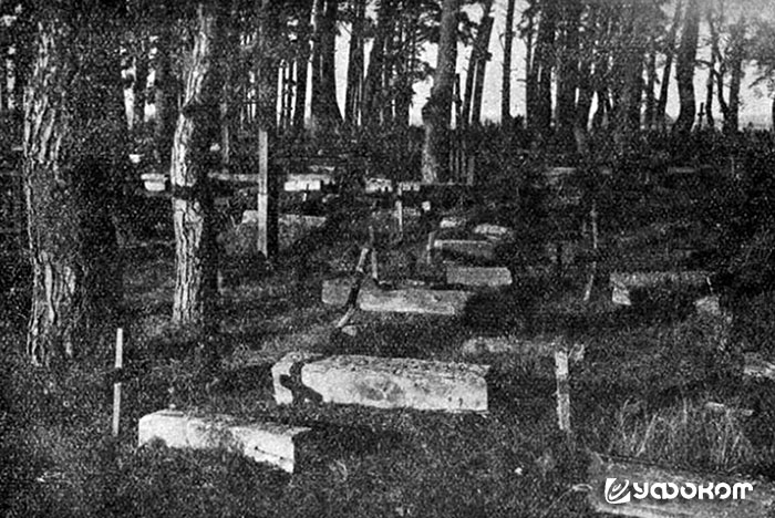 Рис. 15. Прихороны на кладбище д. Пески (Березовский район Брестской обл.). Фото Д. Георгиевского. Рис. 15. Прихороны на кладбище д. Пески (Березовский район Брестской обл.). Фото Д. Георгиевского.
