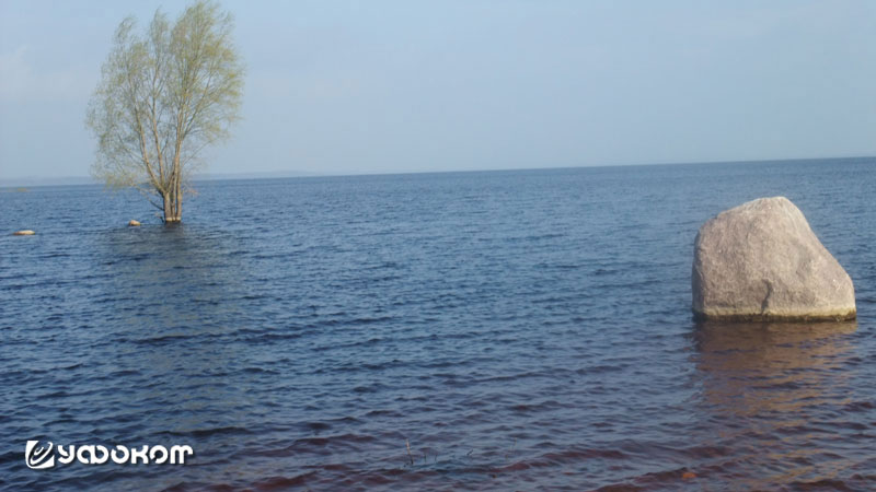 Рис. 6. Озеро Буртниекс. Фото автора, 2012 год.