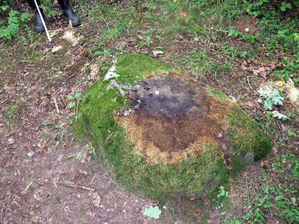 Рис. 5. Камень на горе Картаву калнс. Фото автора.