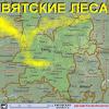 В Вятских лесах обнаружили логово "лешего"