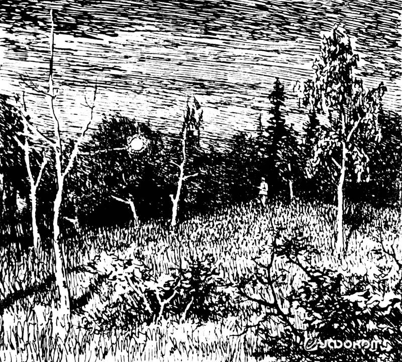 Шаровая молния на иллюстрации Г. Никольского к сборнику рассказов В. К. Арсеньева «Встречи в тайге» (М.-Л.: Детгиз, 1949).