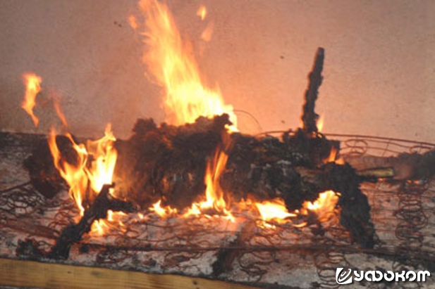 Рис. 4. Пожар через 3 часа 27 минут. Металлические пружины поддерживают тело (источник топлива) над пламенем, где обугленный ковер и деревянный пол действуют как фитиль для растопленного жира. Фотография Илэйн Поуп.