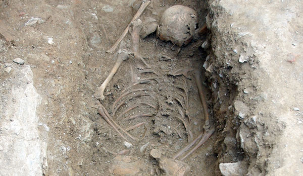 Захоронение, обнаруженное в 2014 году