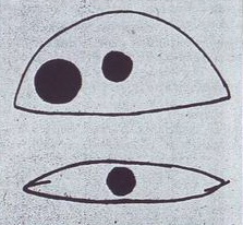 Рисунок объекта. Рисунок объекта.