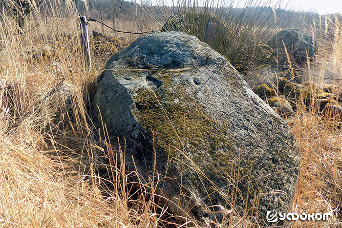 Камень-следовик около д. Ковшары. Фото автора, 2018 год.