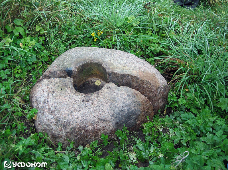 Камень с углублением, откопанный на горе возле кладбища д. Дядичи, Вилейский р-н. Фото Л. Дучиц, 2011 год.