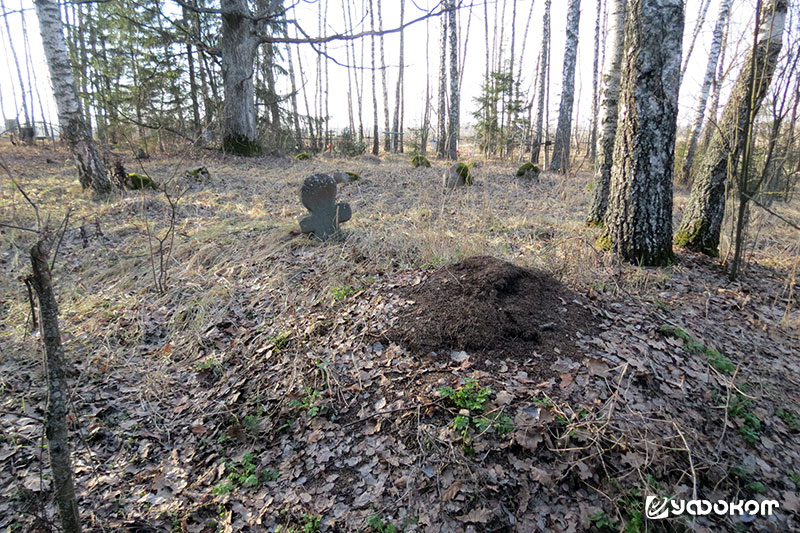 Каменный крест кладбища д. Болонов Селец Быховского района. Фото автора, 2019 года.