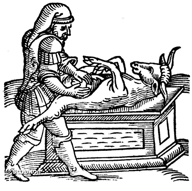 Римское жертвоприношение. Гравюра из книги Конрада Ликостенеса «Prodigiorum ac ostentorum chronicon» (1557). 