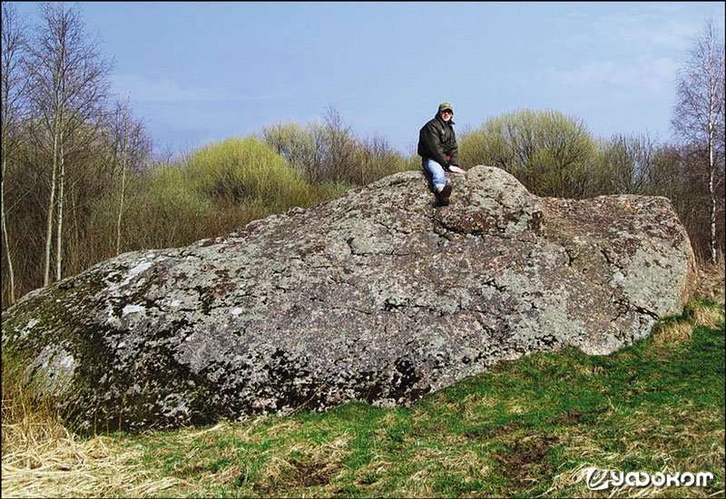 Вялики (Чертов) Камень у д. Горки Шумилинского р-на Витебской обл. Фото А. А. Вашкова.