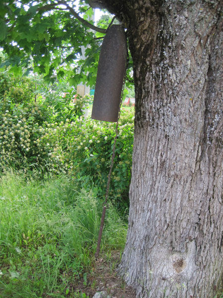 Колокол на дереве в д. Почапово Барановичского р-на Брестской области.