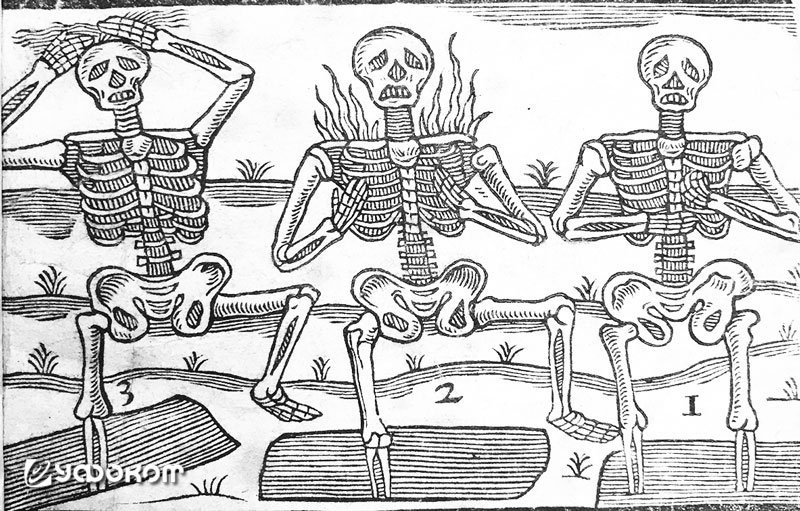 3-skeletons.jpg