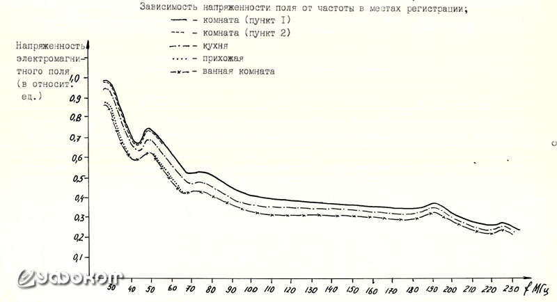 image3.jpg