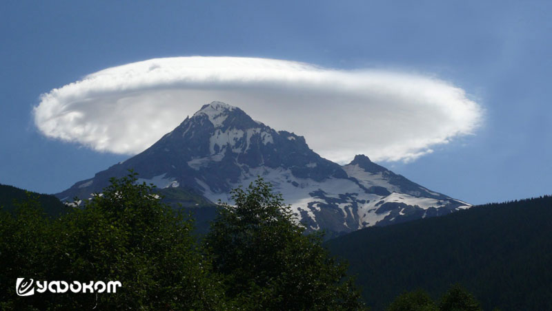 image5.jpg