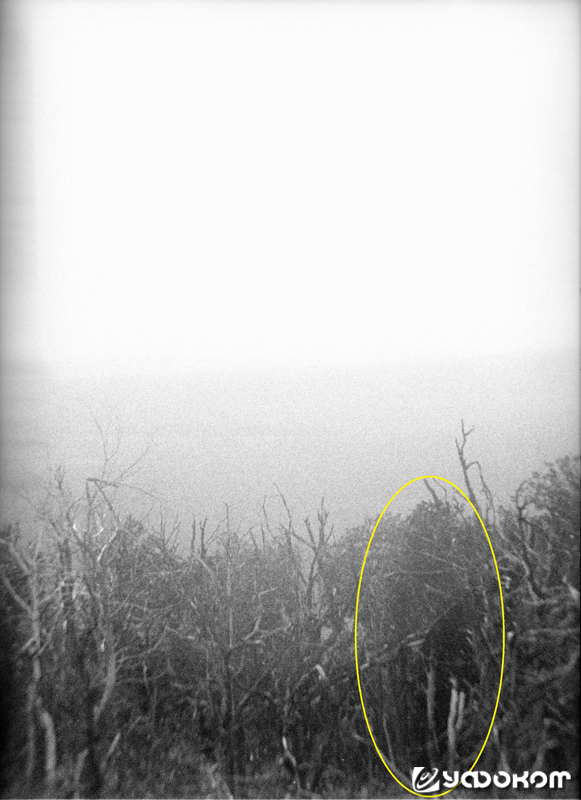 В 2016 году на Медведицкой гряде УФ-камерой было сделано фото каких-то размытых объектов, которым так и не удалось подобрать определение. Фото из архива исследовательской группы «Фотон-Визор», 2016 год.
