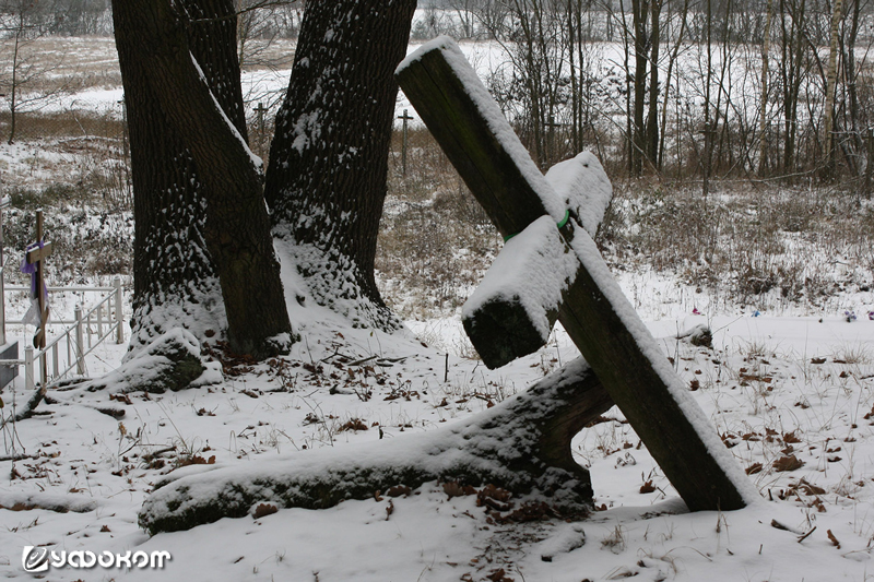 Наруб и крест, который прислонен к нему. Фото В. Гайдучика.