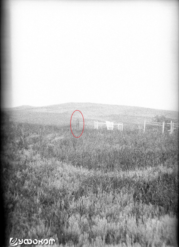 В 2016 году на Медведицкой гряде УФ-камерой было сделано фото каких-то размытых объектов, которым так и не удалось подобрать определение. Фото из архива исследовательской группы «Фотон-Визор», 2016 год.