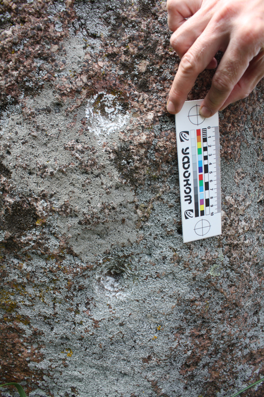Неизвестный ранее ученым камень с двумя лунками, который был обнаружен нашей экспедицией в Сморгонском районе.